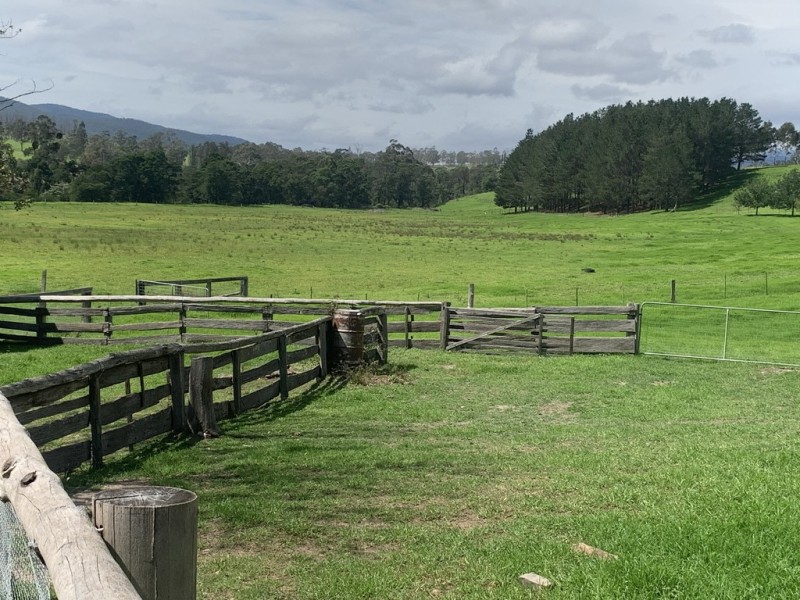 3219 Towamba Rd, Bega NSW 2550