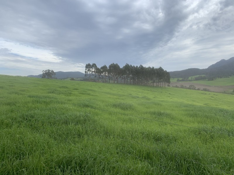 3219 Towamba Rd, Bega NSW 2550