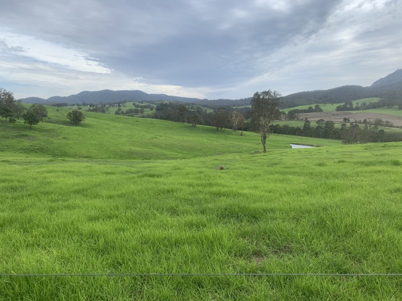 3219 Towamba Rd, Bega NSW 2550