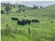 258 Grosses Creek Rd, Buckajo NSW 2550