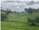 258 Grosses Creek Rd, Buckajo NSW 2550