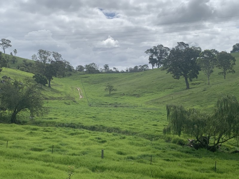 258 Grosses Creek Rd, Buckajo NSW 2550