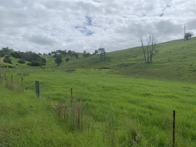 258 Grosses Creek Rd, Buckajo NSW 2550