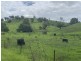 258 Grosses Creek Rd, Buckajo NSW 2550