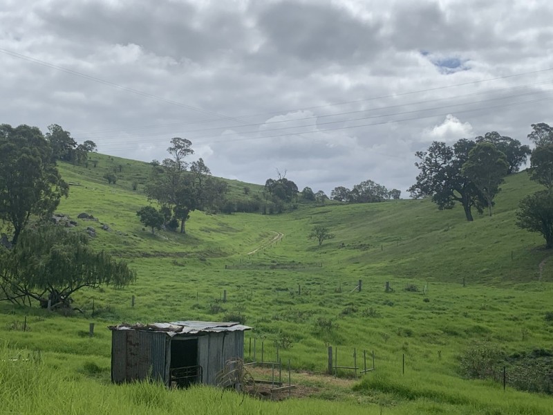 258 Grosses Creek Rd, Buckajo NSW 2550