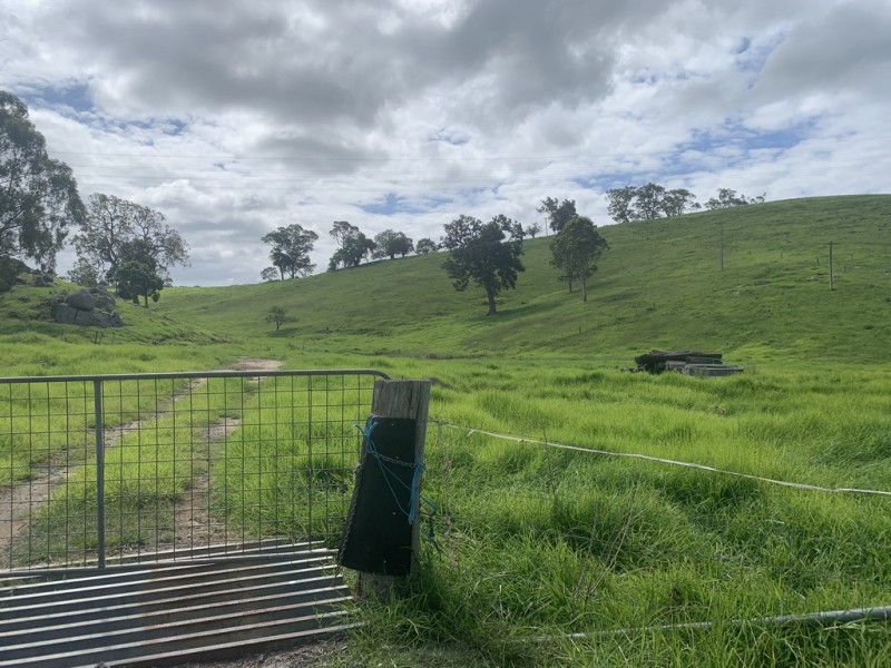 258 Grosses Creek Rd, Buckajo NSW 2550