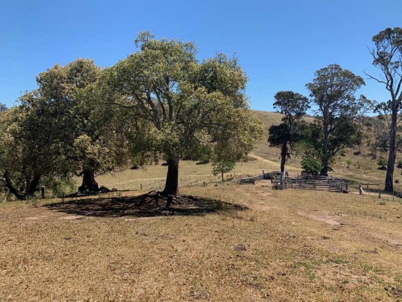 258 Grosses Creek Rd, Buckajo NSW 2550