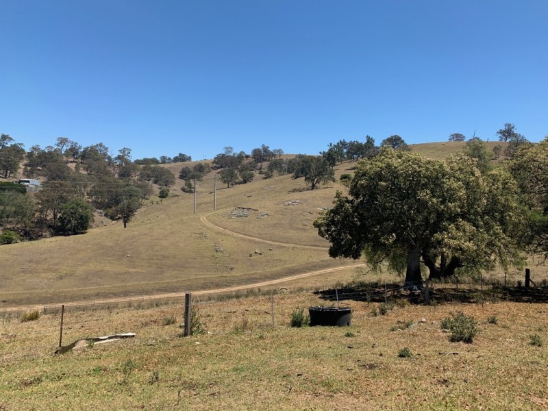 258 Grosses Creek Rd, Buckajo NSW 2550