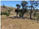 258 Grosses Creek Rd, Buckajo NSW 2550