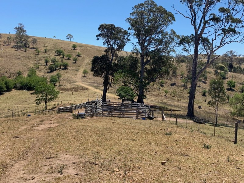 258 Grosses Creek Rd, Buckajo NSW 2550