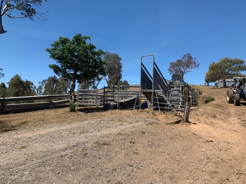 258 Grosses Creek Rd, Buckajo NSW 2550