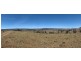 258 Grosses Creek Rd, Buckajo NSW 2550