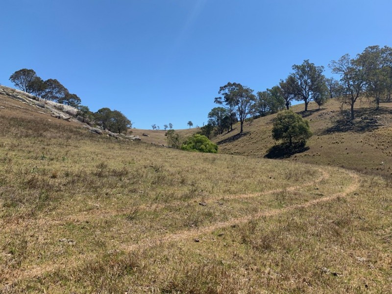 258 Grosses Creek Rd, Buckajo NSW 2550