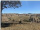 258 Grosses Creek Rd, Buckajo NSW 2550