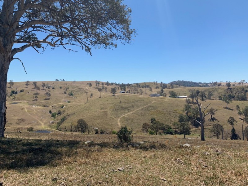258 Grosses Creek Rd, Buckajo NSW 2550