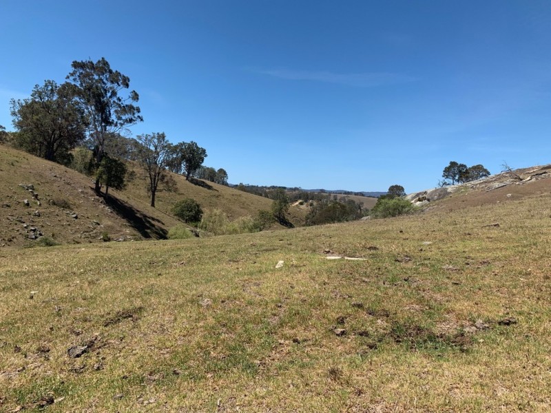 258 Grosses Creek Rd, Buckajo NSW 2550