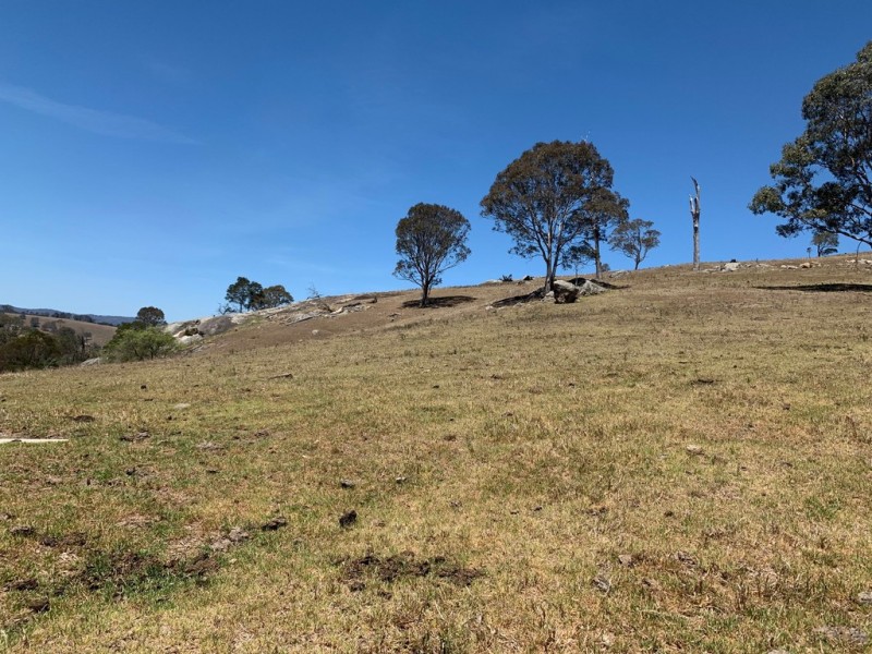 258 Grosses Creek Rd, Buckajo NSW 2550