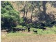 258 Grosses Creek Rd, Buckajo NSW 2550