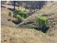 258 Grosses Creek Rd, Buckajo NSW 2550