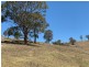 258 Grosses Creek Rd, Buckajo NSW 2550