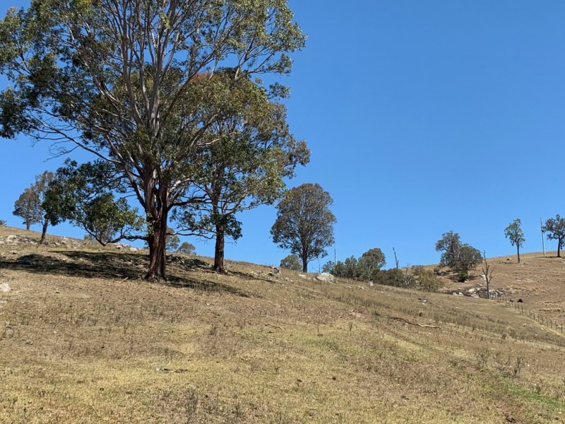 258 Grosses Creek Rd, Buckajo NSW 2550