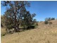 258 Grosses Creek Rd, Buckajo NSW 2550