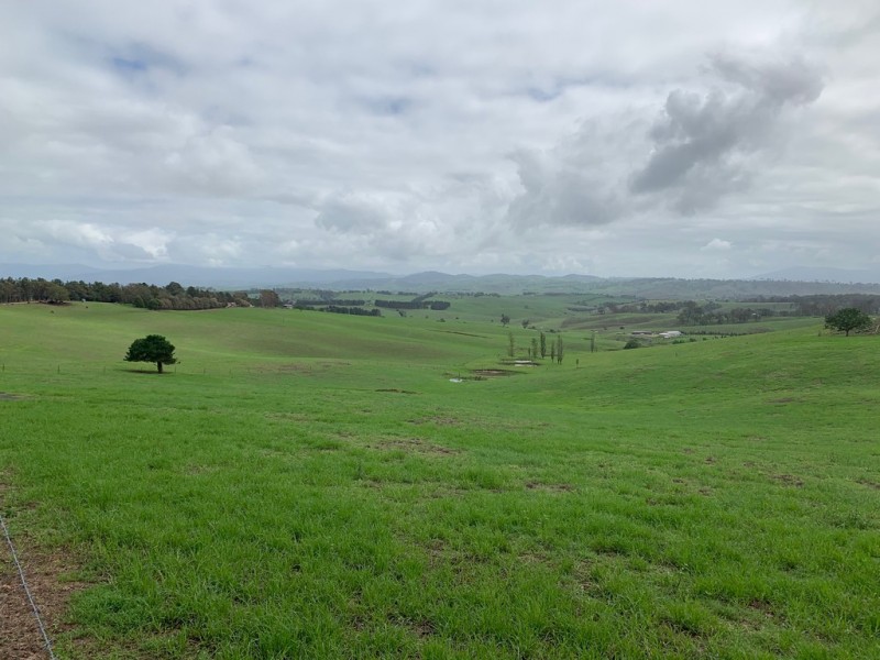 1 Moffitt Lane, Toothdale NSW 2550