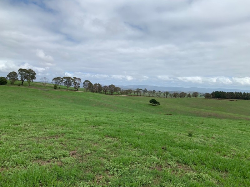 1 Moffitt Lane, Toothdale NSW 2550