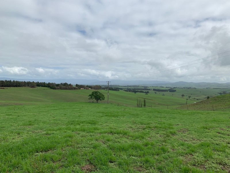 1 Moffitt Lane, Toothdale NSW 2550