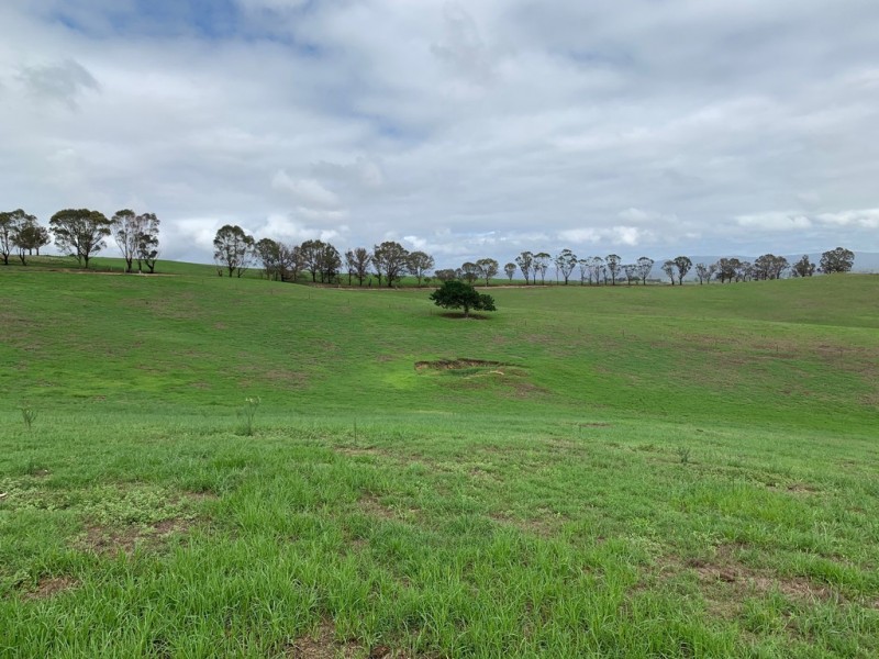 1 Moffitt Lane, Toothdale NSW 2550