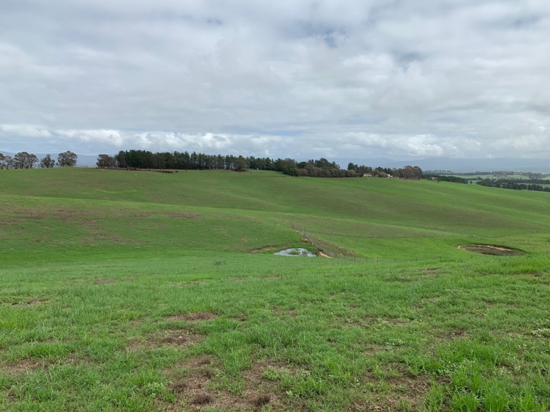 1 Moffitt Lane, Toothdale NSW 2550