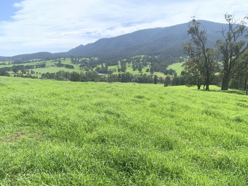 3219 Towamba Rd, Bega NSW 2550