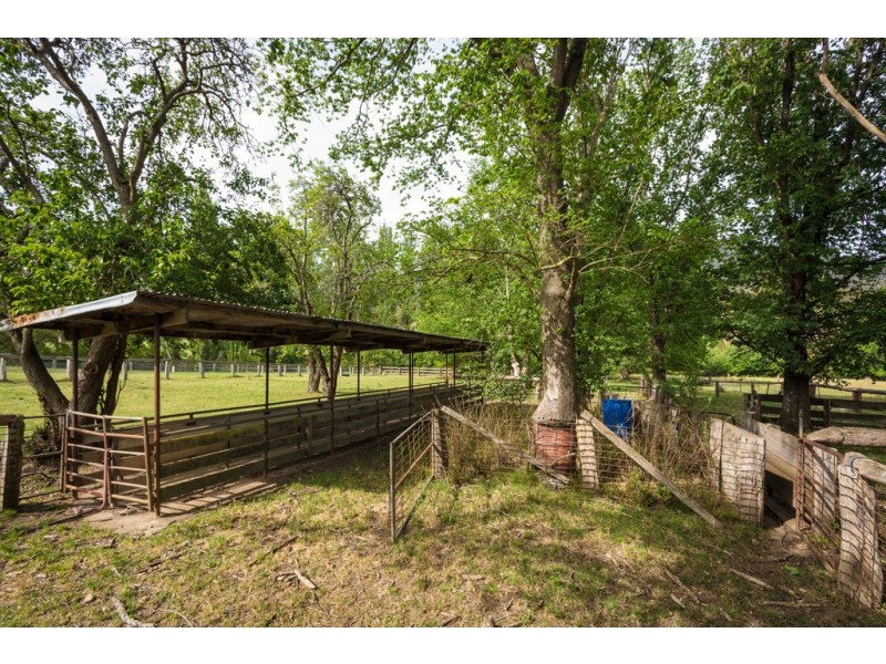 3219 Towamba Rd, Bega NSW 2550