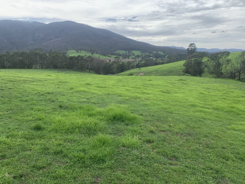 3219 Towamba Rd, Bega NSW 2550