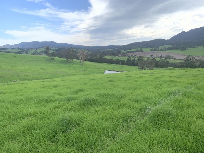 3219 Towamba Rd, Bega NSW 2550