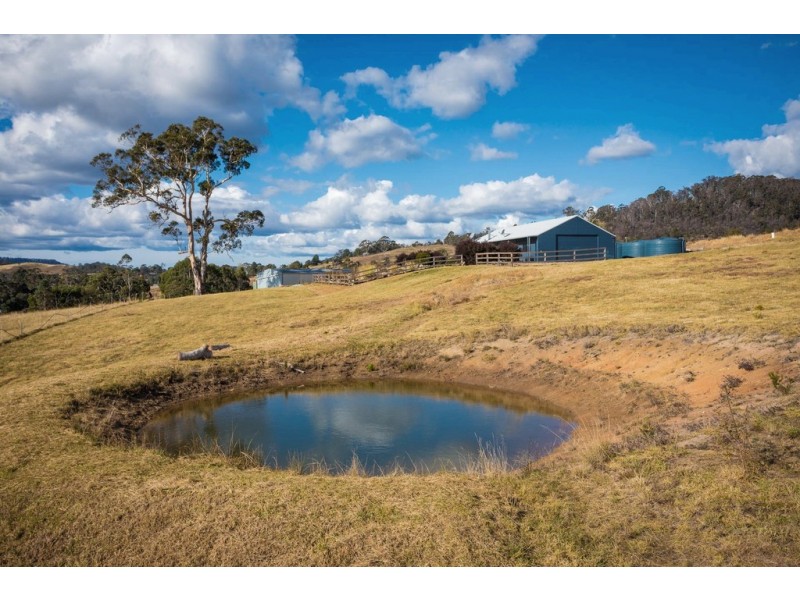 2673 Mount Darragh Rd, Wyndham NSW 2550