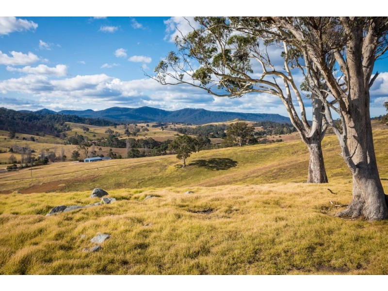 2673 Mount Darragh Rd, Wyndham NSW 2550