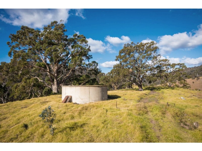 2673 Mount Darragh Rd, Wyndham NSW 2550