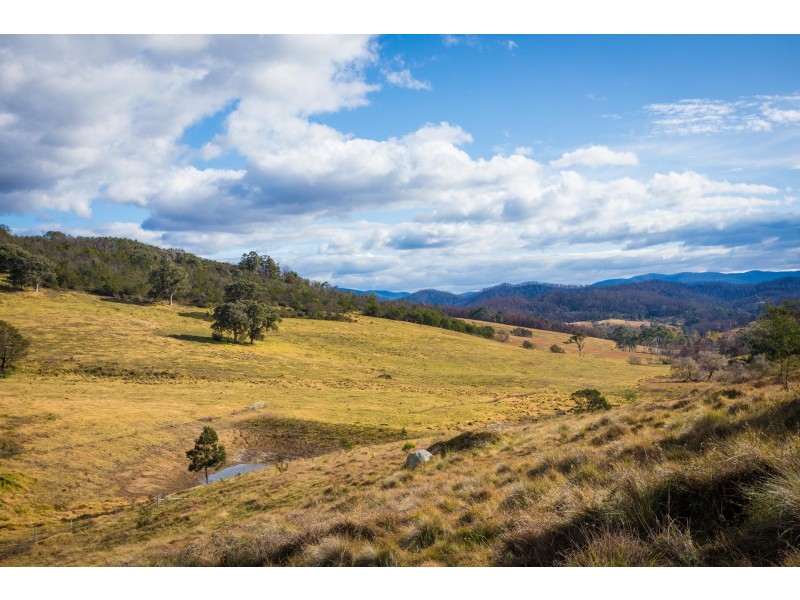 2673 Mount Darragh Rd, Wyndham NSW 2550