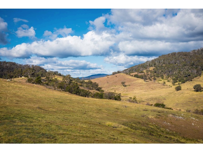 2673 Mount Darragh Rd, Wyndham NSW 2550