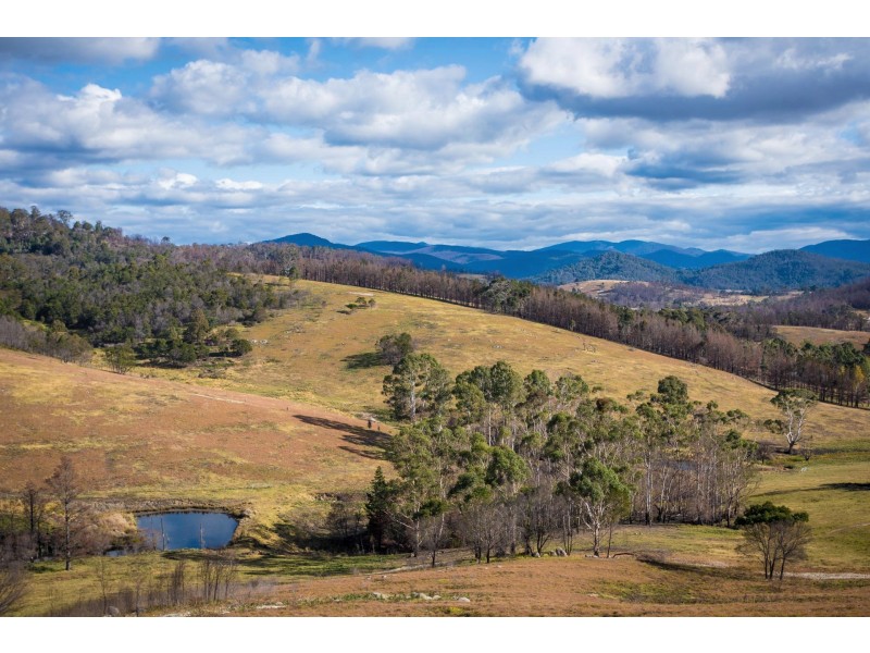 2673 Mount Darragh Rd, Wyndham NSW 2550