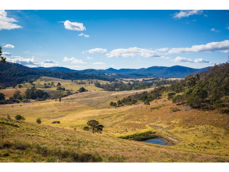 2673 Mount Darragh Rd, Wyndham NSW 2550