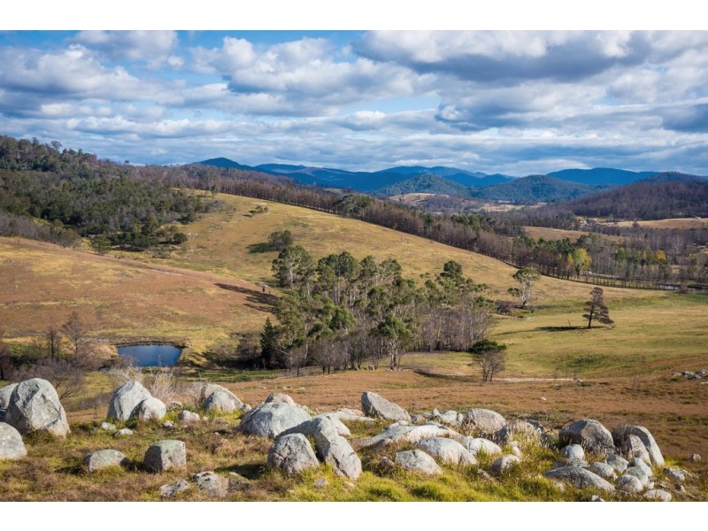 2673 Mount Darragh Rd, Wyndham NSW 2550