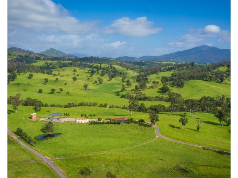 276 Murrabrine Lane, Cobargo NSW 2550