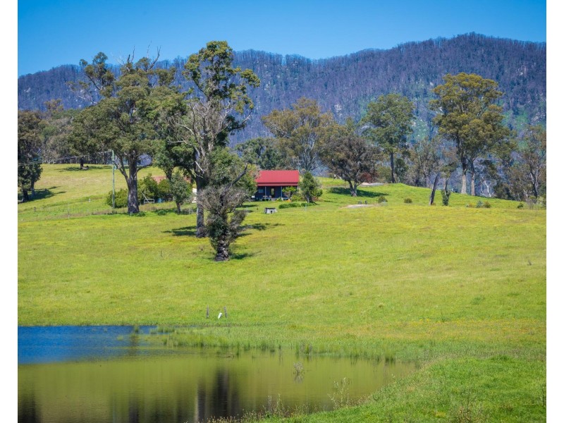 276 Murrabrine Lane, Cobargo NSW 2550