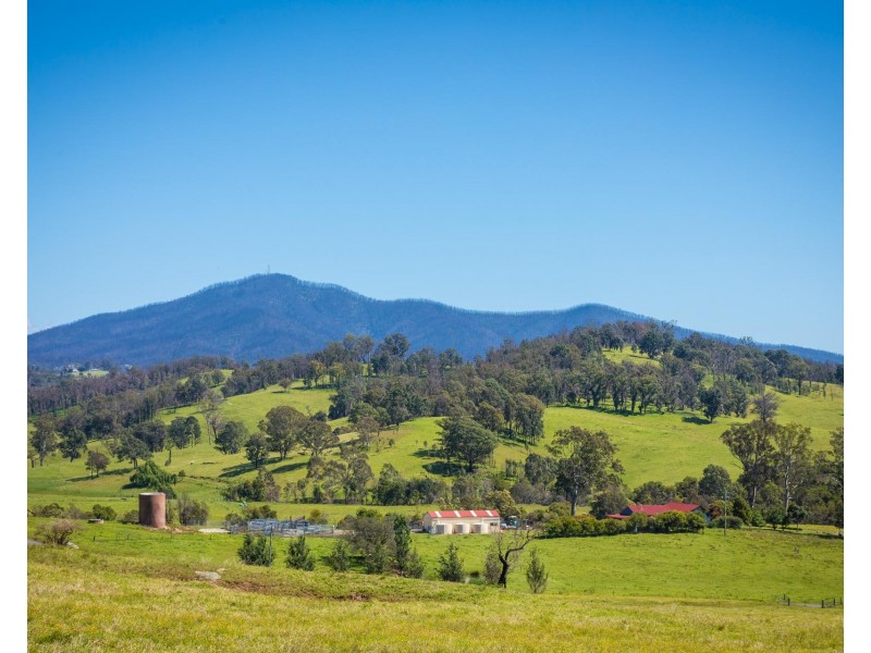 276 Murrabrine Lane, Cobargo NSW 2550