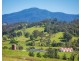 276 Murrabrine Lane, Cobargo NSW 2550