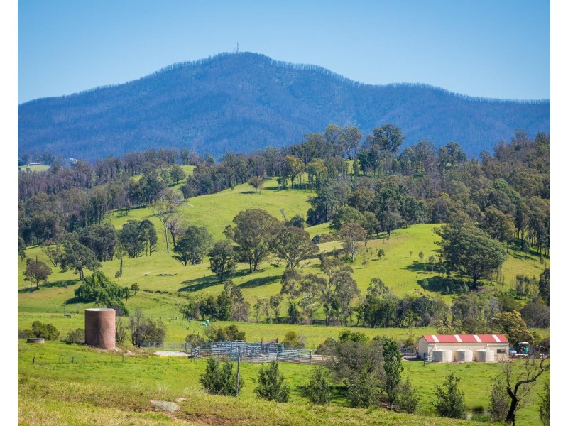 276 Murrabrine Lane, Cobargo NSW 2550