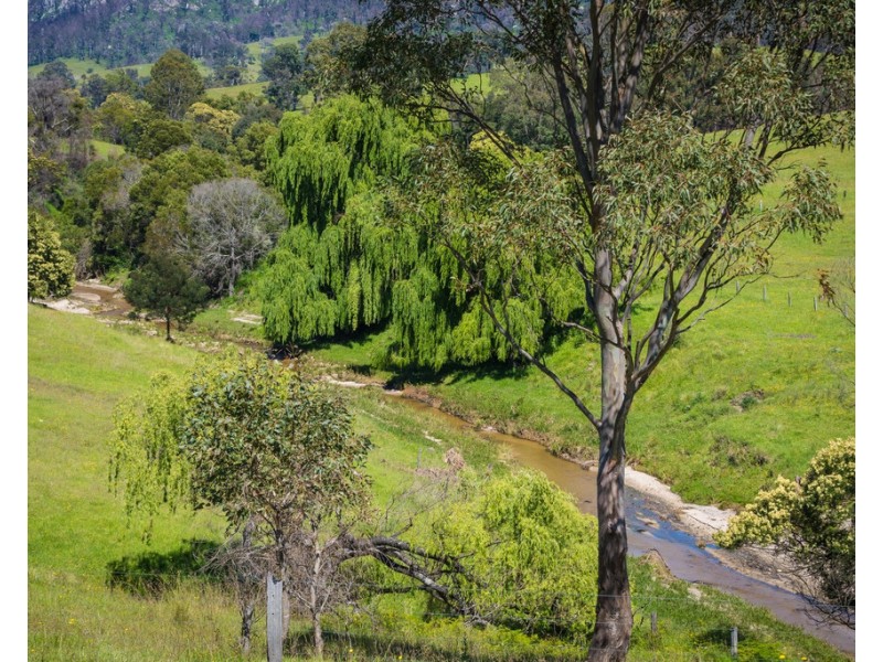 276 Murrabrine Lane, Cobargo NSW 2550