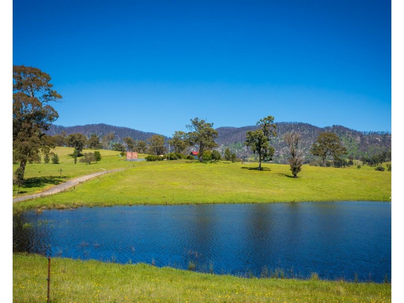 276 Murrabrine Lane, Cobargo NSW 2550